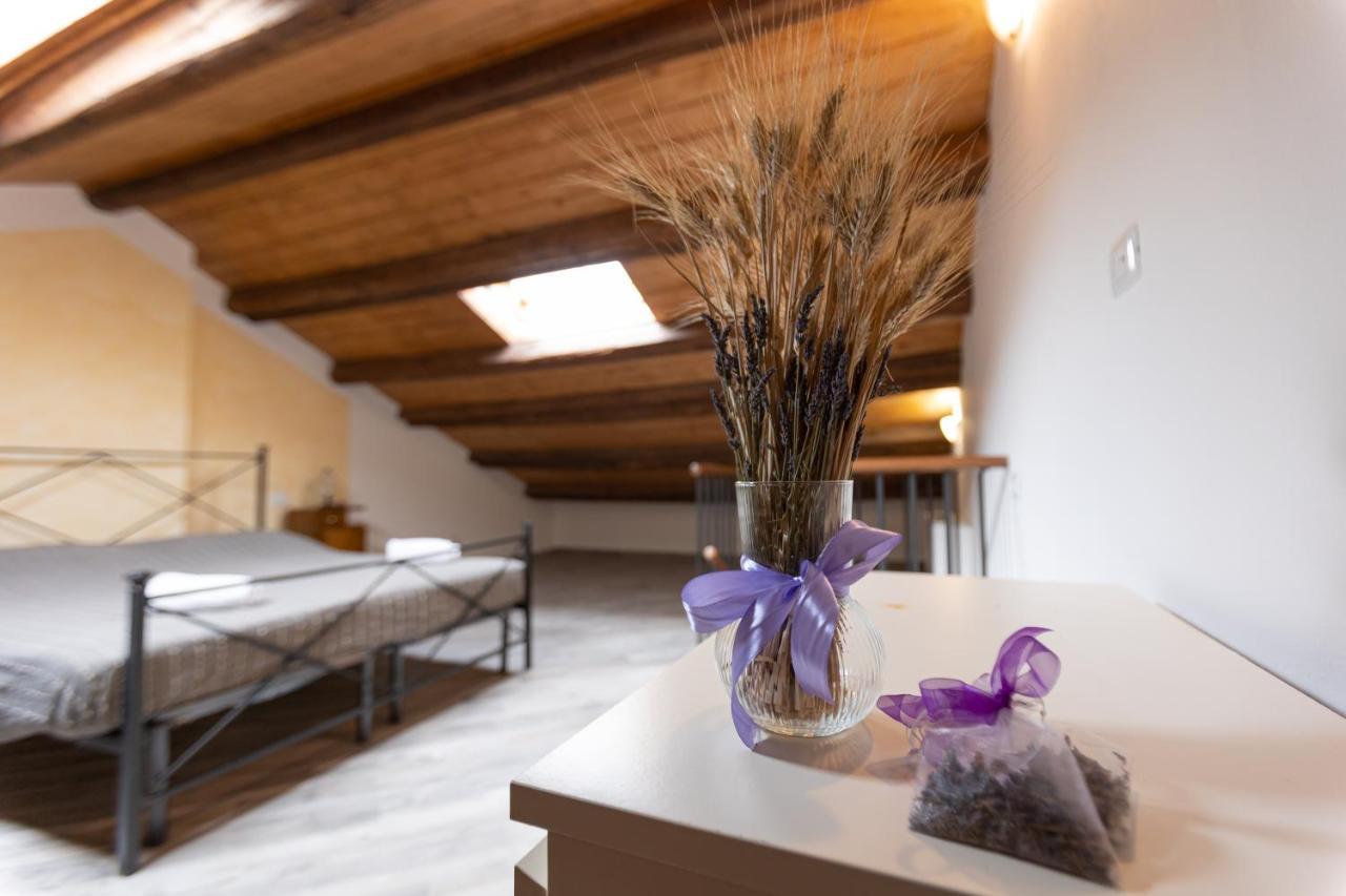 Agriturismo La Valle Della Lavanda - Podere Mezzastrada Fauglia Luaran gambar