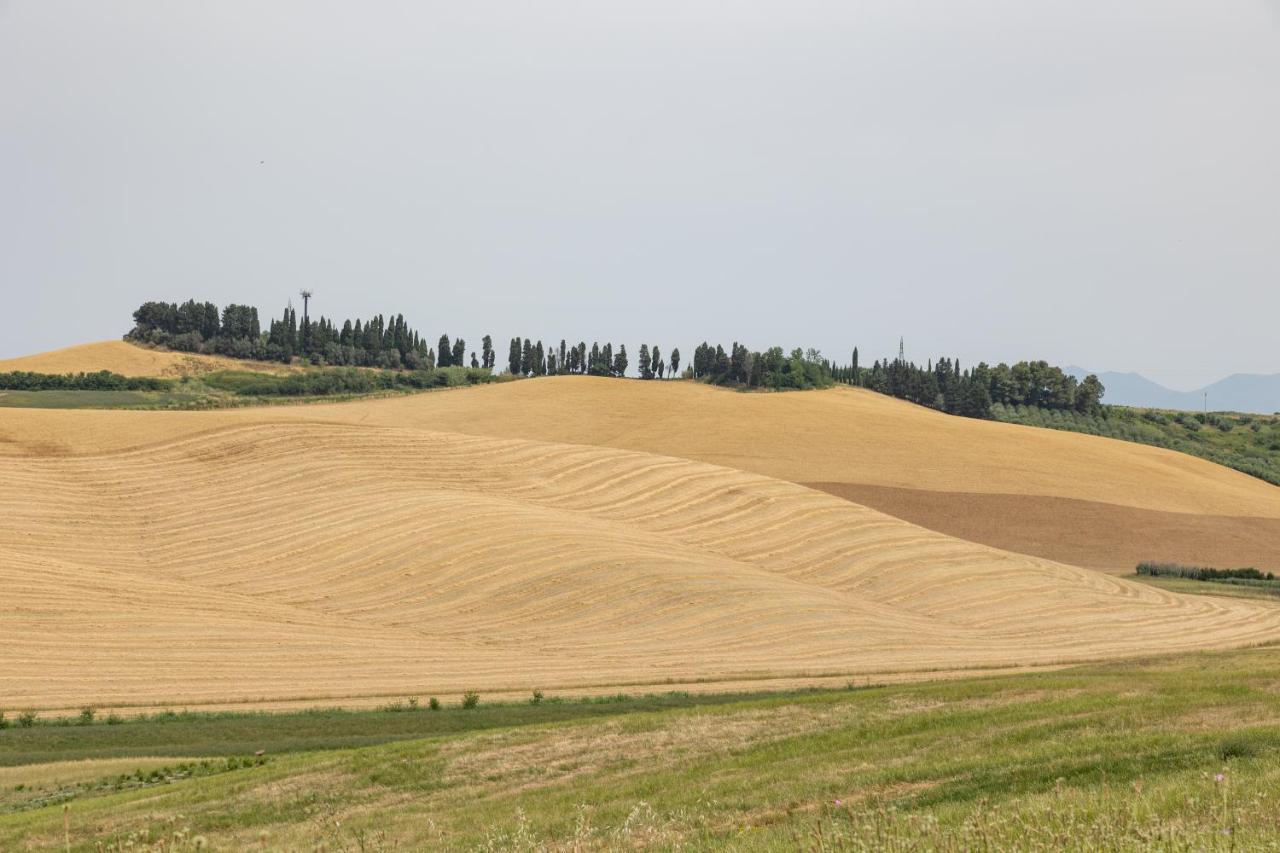 Agriturismo La Valle Della Lavanda - Podere Mezzastrada Fauglia Luaran gambar