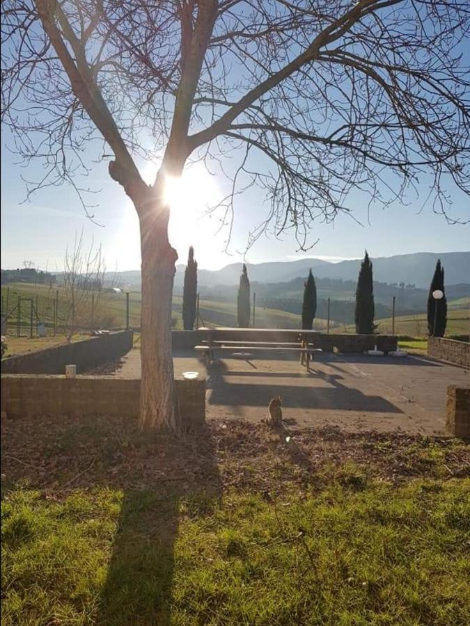 Agriturismo La Valle Della Lavanda - Podere Mezzastrada Fauglia Luaran gambar