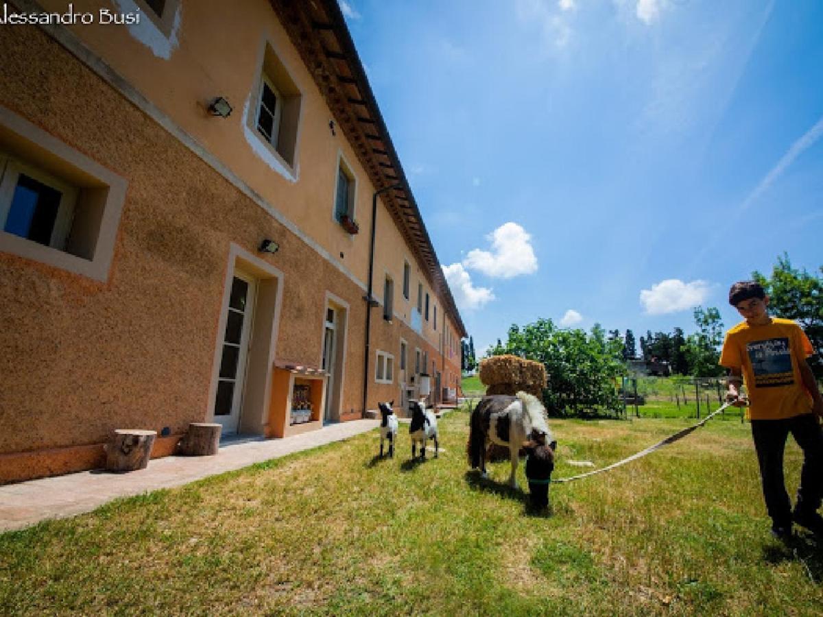 Agriturismo La Valle Della Lavanda - Podere Mezzastrada Fauglia Luaran gambar
